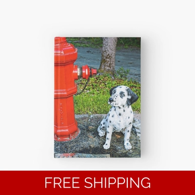 Le Studio Hardcover Journal Rush Signals Statue